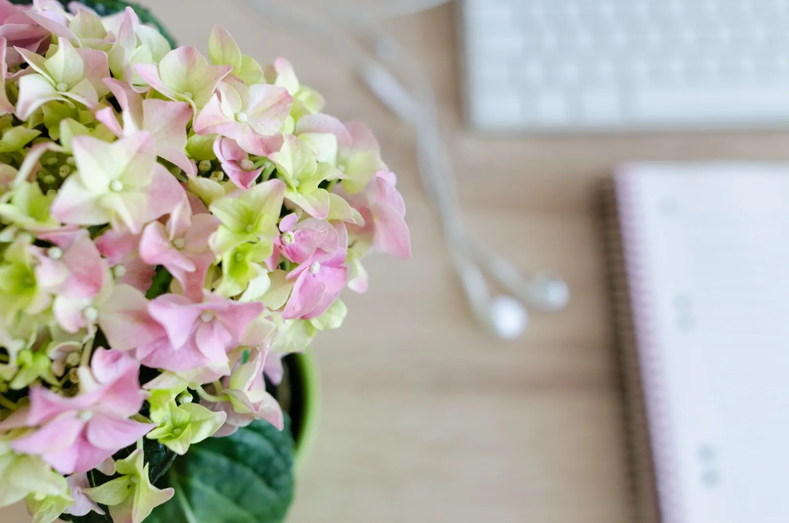 Composition florale de saison installée dans un hall d'accueil d'entreprise